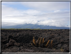 foto Isole Galapagos